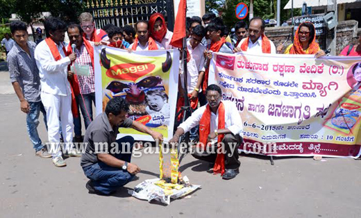 Tulunada Rakshana Vedike stages protest; demands ban on Maggi 4